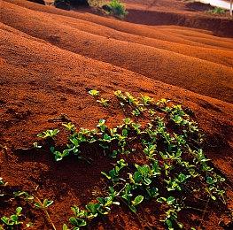 R星发文回应 称《GTA6》一定会超出预期