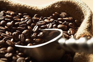 《WWE 2K23》擂台报道#1